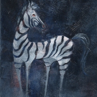 zebra